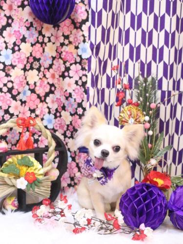 20250121ランくん